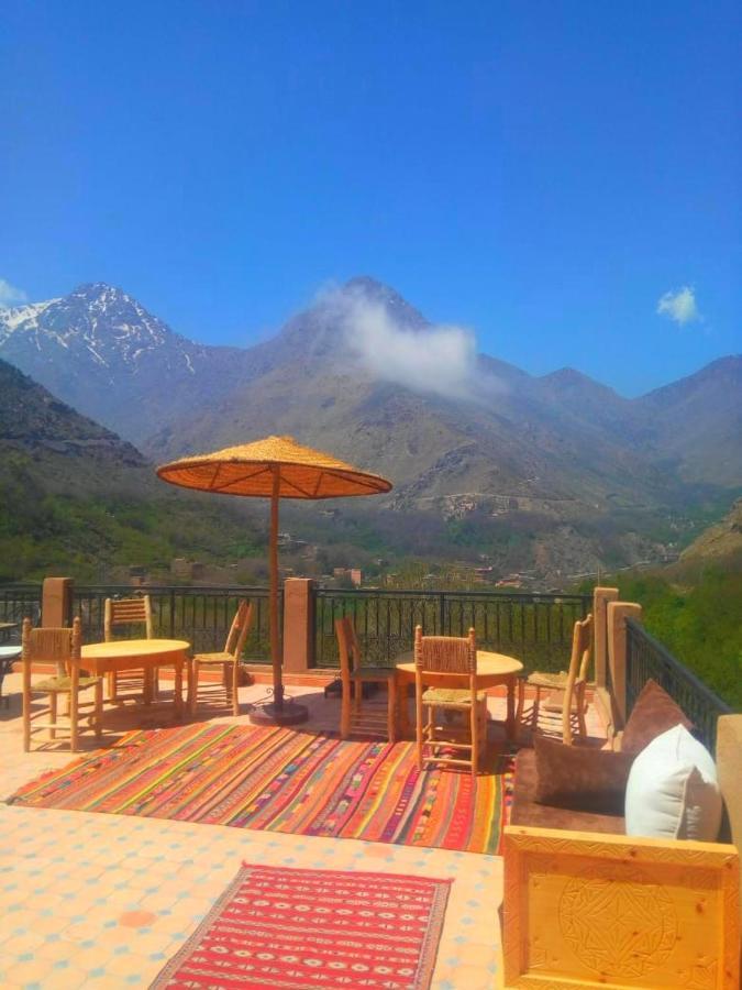 Riad Afla Gardens マラケシュ エクステリア 写真